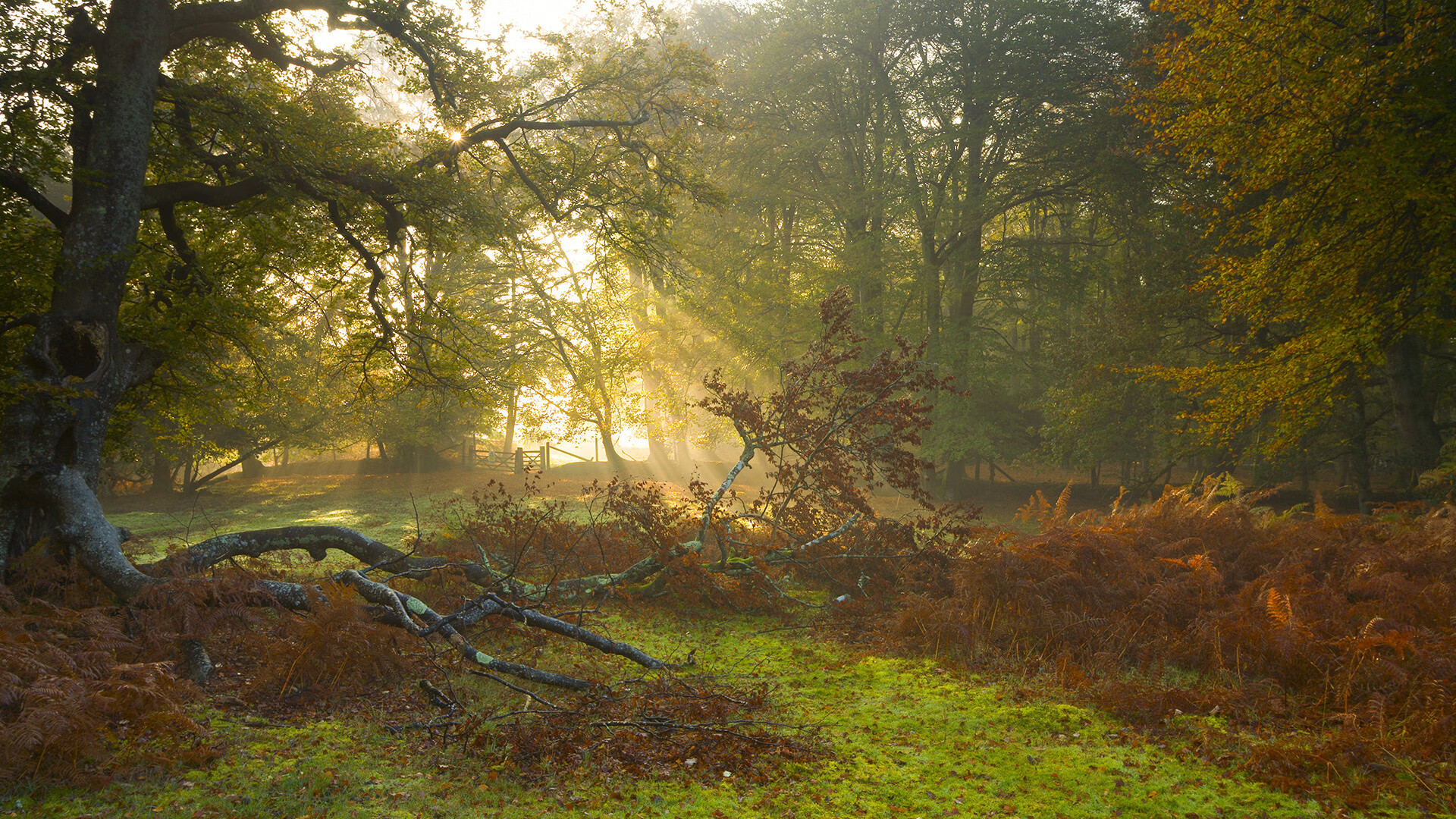 跨界争霸夜,步行者力克吉林,马克西里程碑铸就战神传说