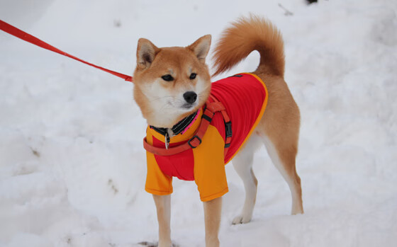抢七之夜,末节之王,德布劳内的传奇接管