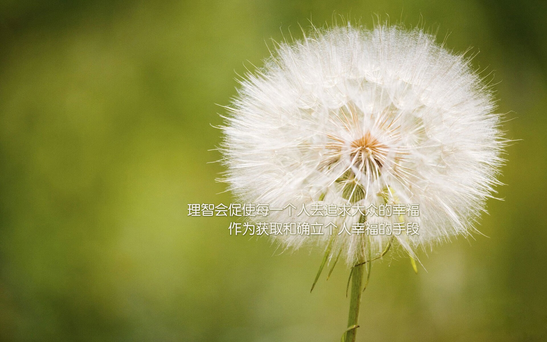 迟暮战神拔剑,当克莱·汤普森以守护者之名归来