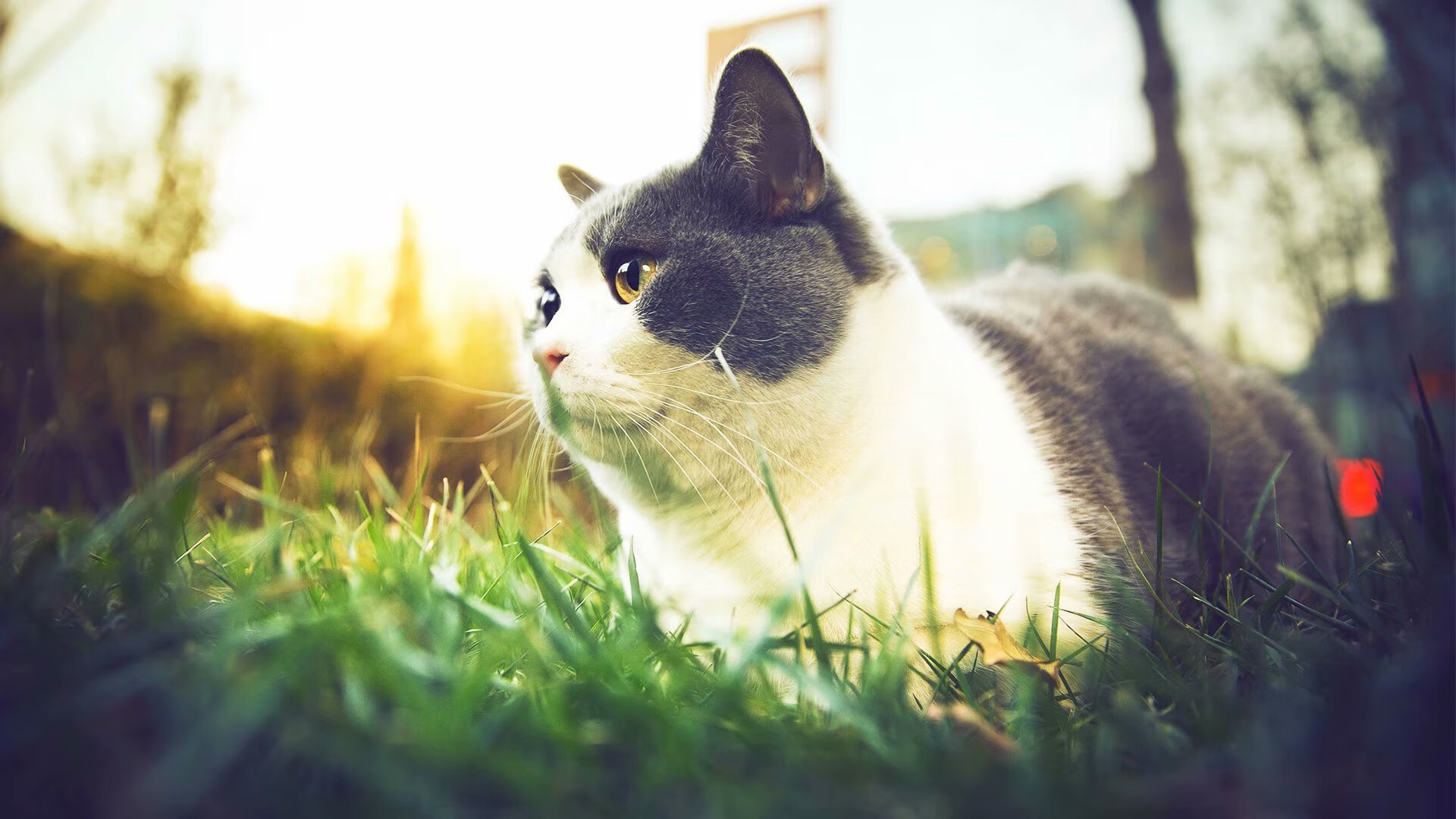 改写王座的一夜，一亿先生如何用双脚踩碎半决赛魔咒