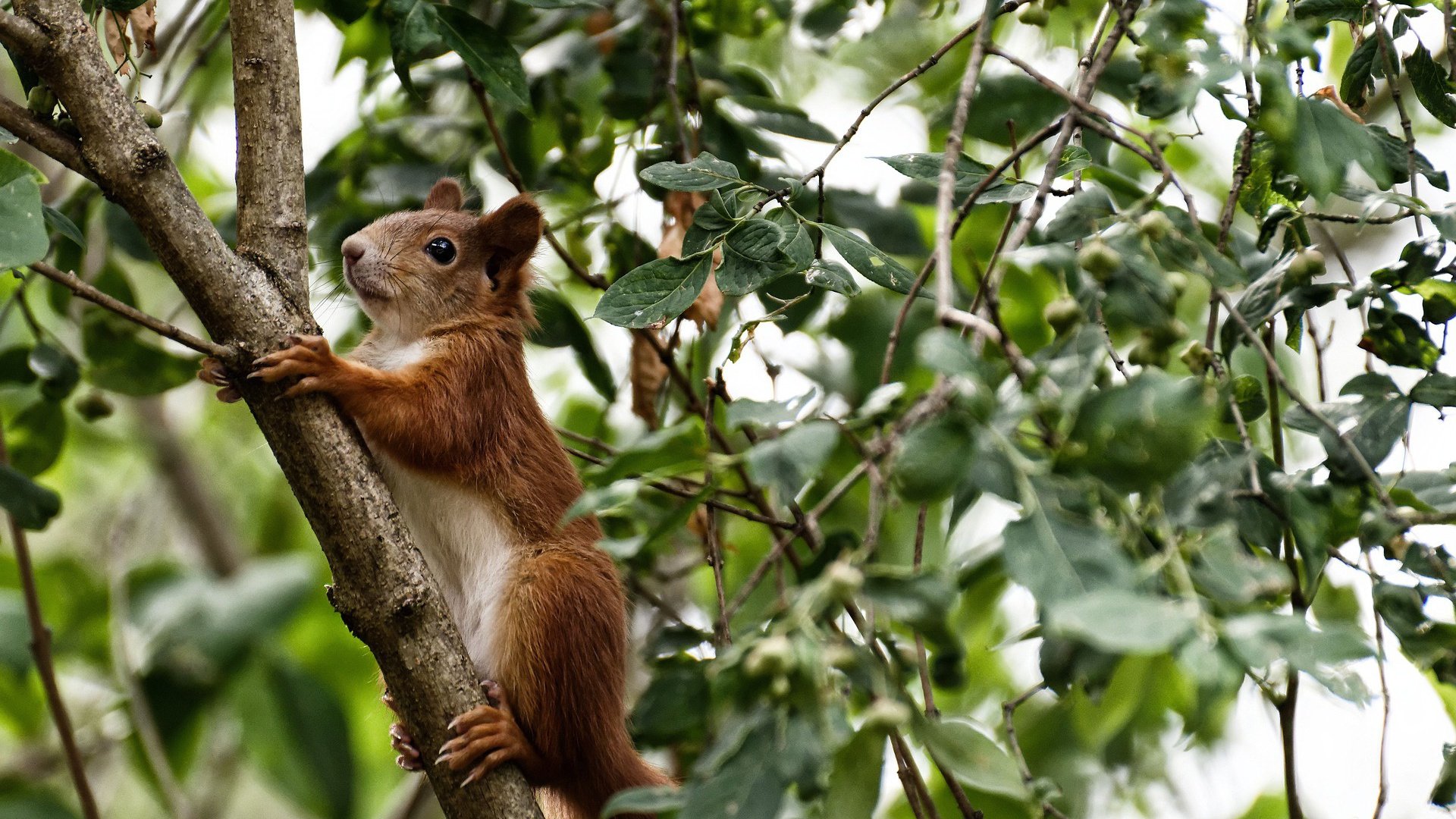 生死战与冠军心,葡萄牙力克尤文的史诗之战与姆巴佩定义伟大的闪耀时刻