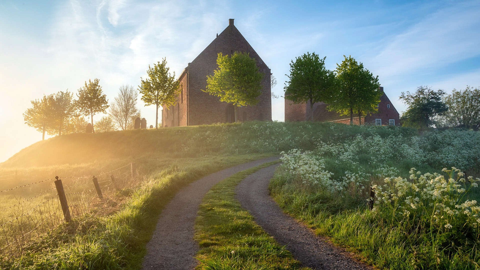 凯塞多孤星爆发，苏格兰的寒夜与几内亚的未竟之路