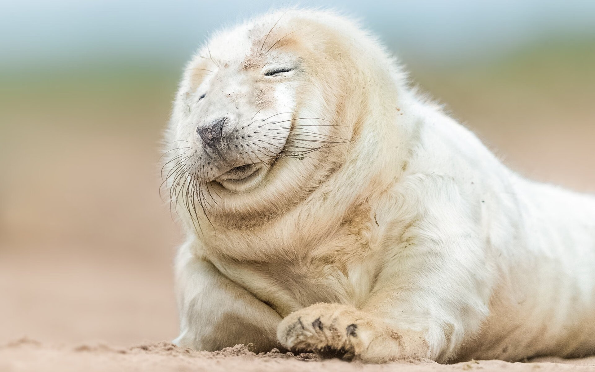 英超争冠之夜，若日尼奥在枪手的中场复兴史诗