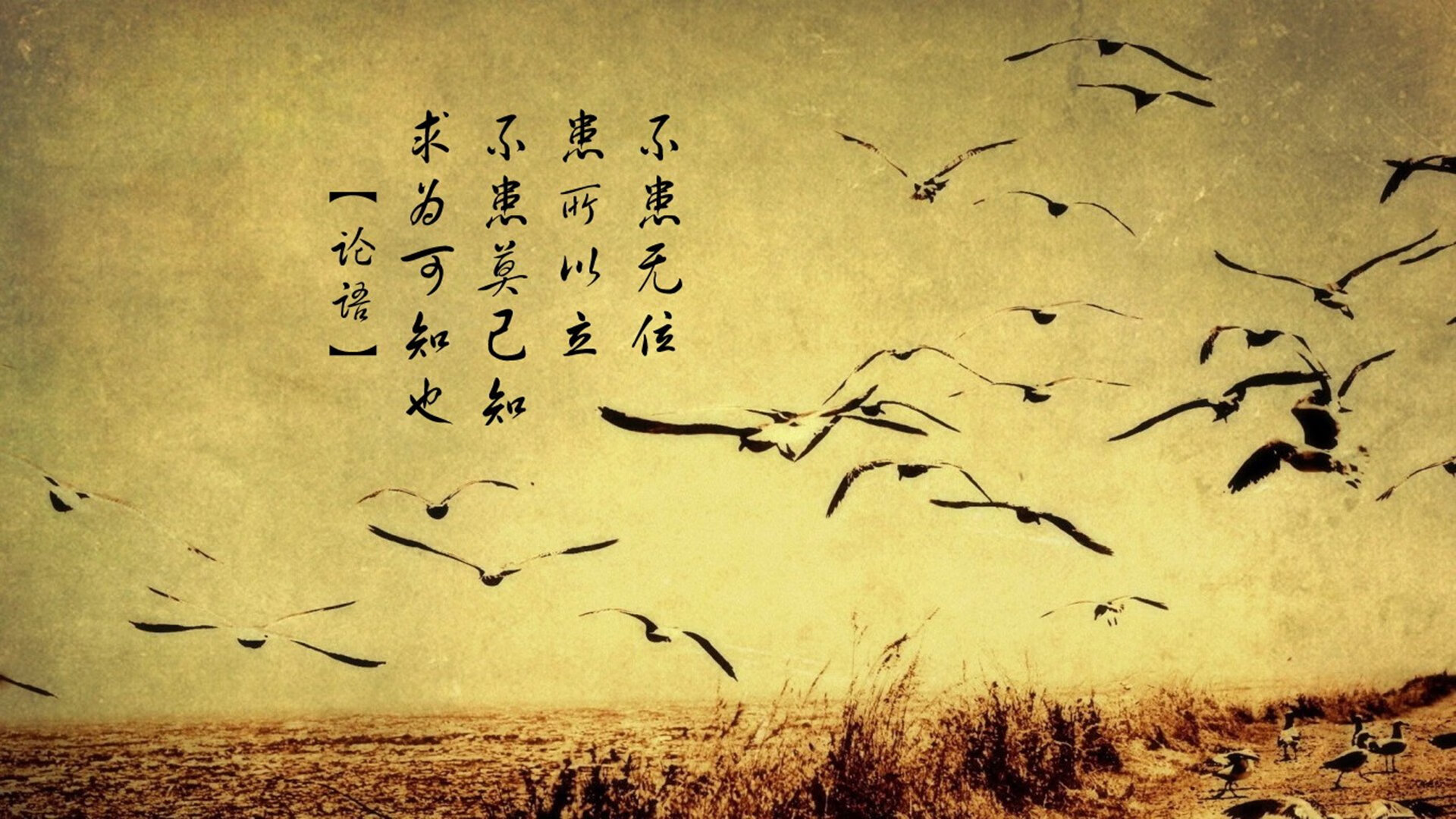 铁壁破晓,当格列兹曼的法国烙印,成为亚洲足球唯一的神迹